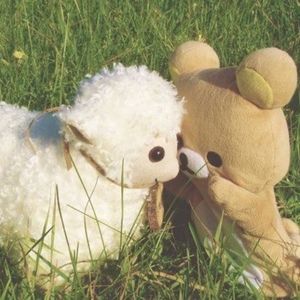 Meet your Posher, Lilly